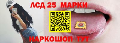шишки Заводоуковск