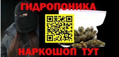 шишки Заводоуковск
