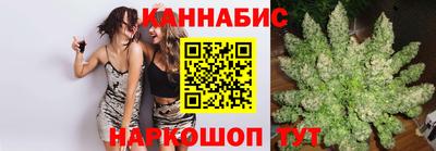 шишки Заводоуковск