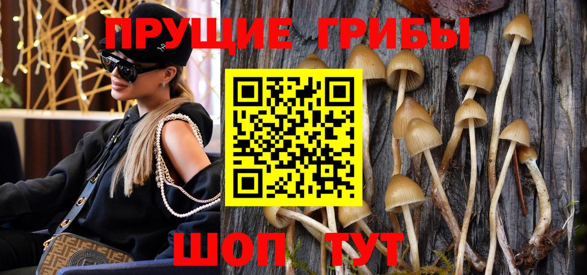 Псилоцибиновые грибы MAGIC MUSHROOMS  Галлюциногенные грибы Magic Shrooms  Елабуга  где купить наркоту  Вход с VPN 